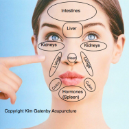 Chinese Face Mapping & Face Diagnosis | Kim Gatenby Acupuncture